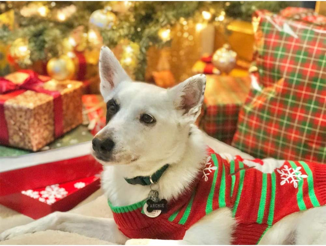 Dog Snow Sweaters Snowman Sweaters Xmas Dog Holiday Sweaters New Year Christmas Sweater Pet Clothes for Small Dog and Cat(Snowman,Xxl)